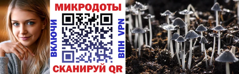 MEGA зеркало  Дербент  Галлюциногенные грибы GOLDEN TEACHER 