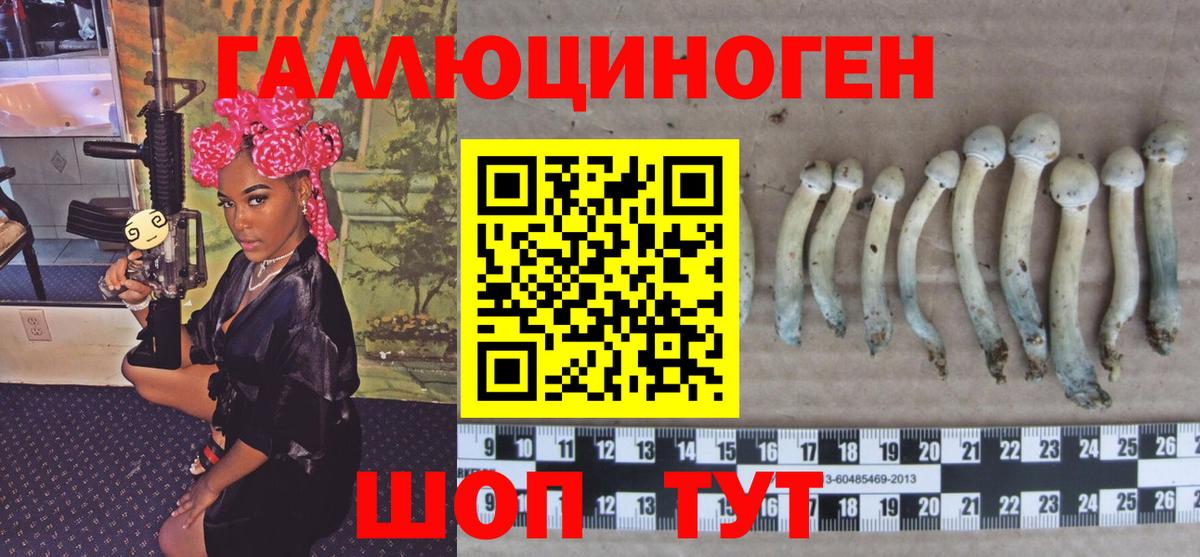 Галлюциногенные грибы ЛСД  Галлюциногенные грибы GOLDEN TEACHER  Дербент  Вход с VPN 