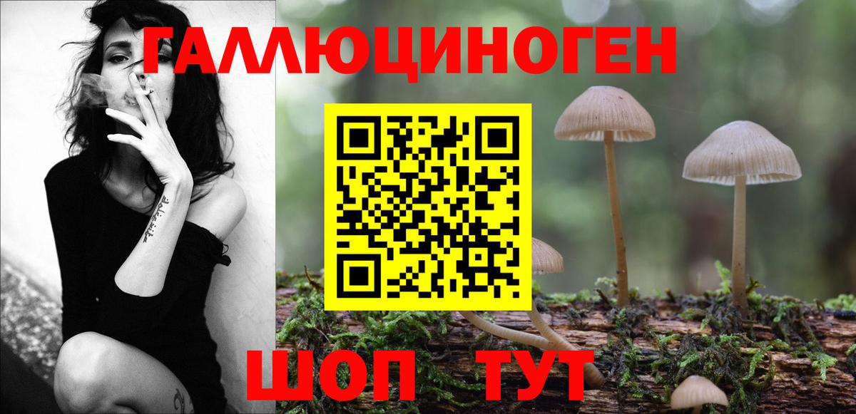 Псилоцибиновые грибы прущие грибы Дербент