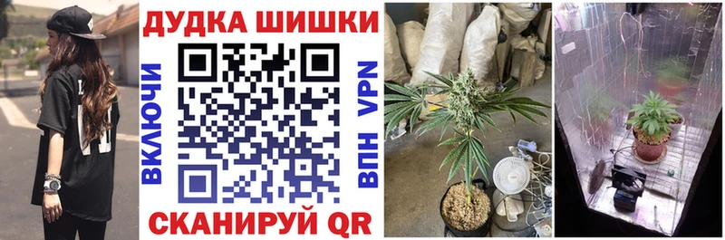 Шишки марихуана THC 21%  Дербент 
